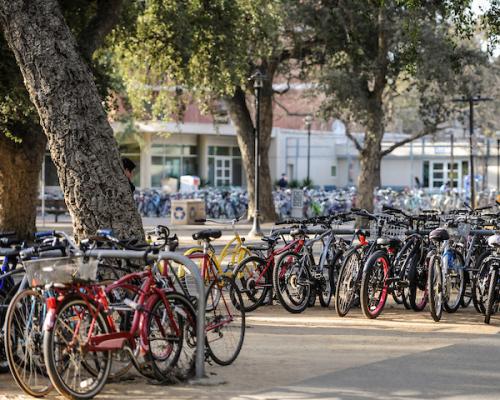 This is an image of bike racks.
